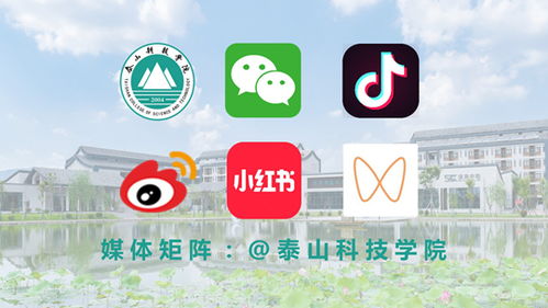泰山科技學院星鑫校友圈入選2024山東教育融媒TOP100，展現校友聯結新力量